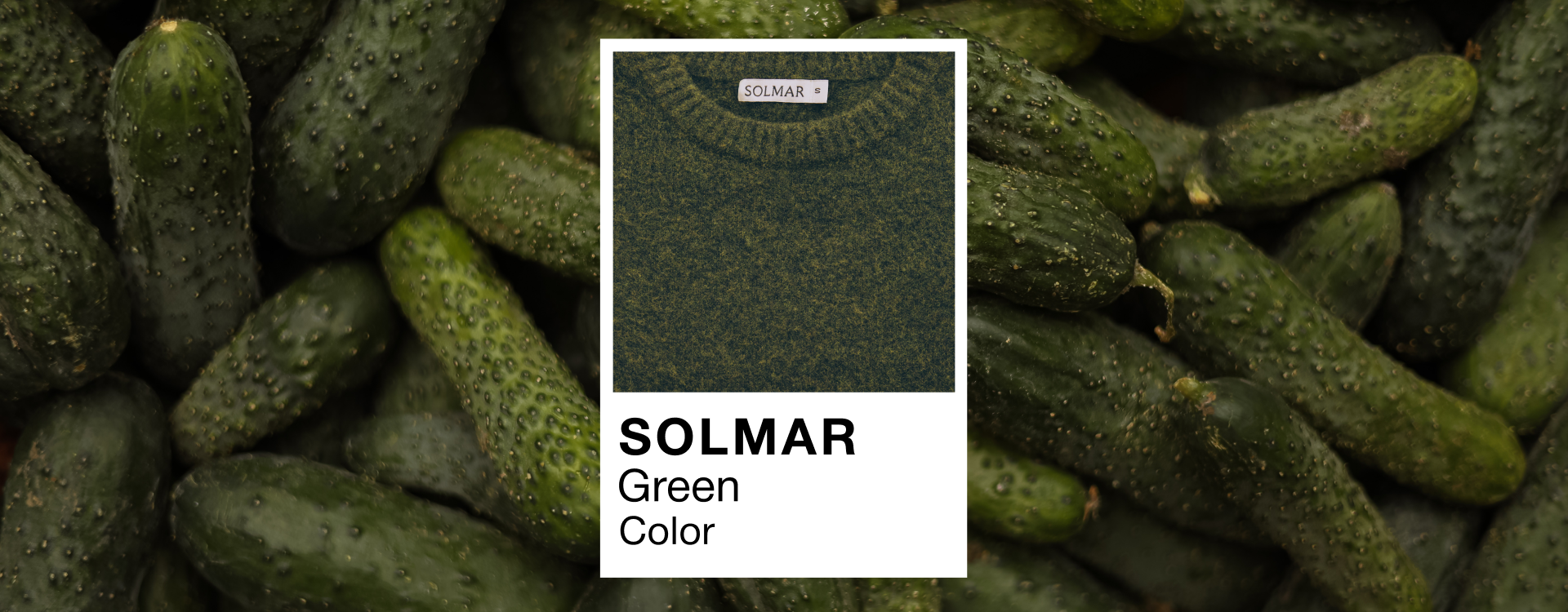 Зустрічай Green Color Drop від SOLMAR&nbsp;